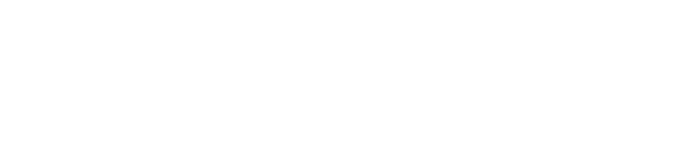 Bruno Group Inc.